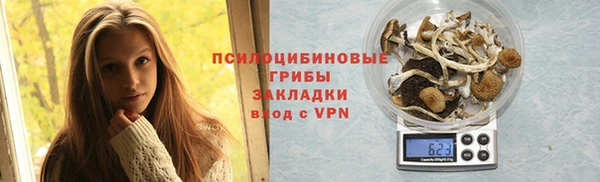 прущий лед Алексин