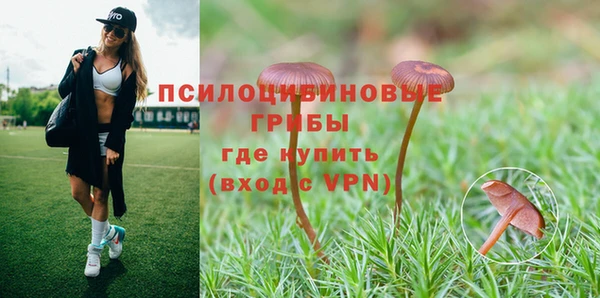 бошки Армянск