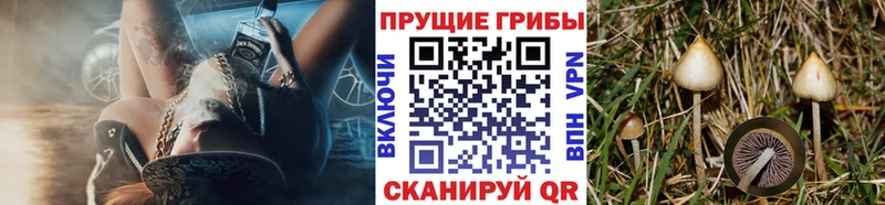 Галлюциногенные грибы ЛСД  Бабаево 